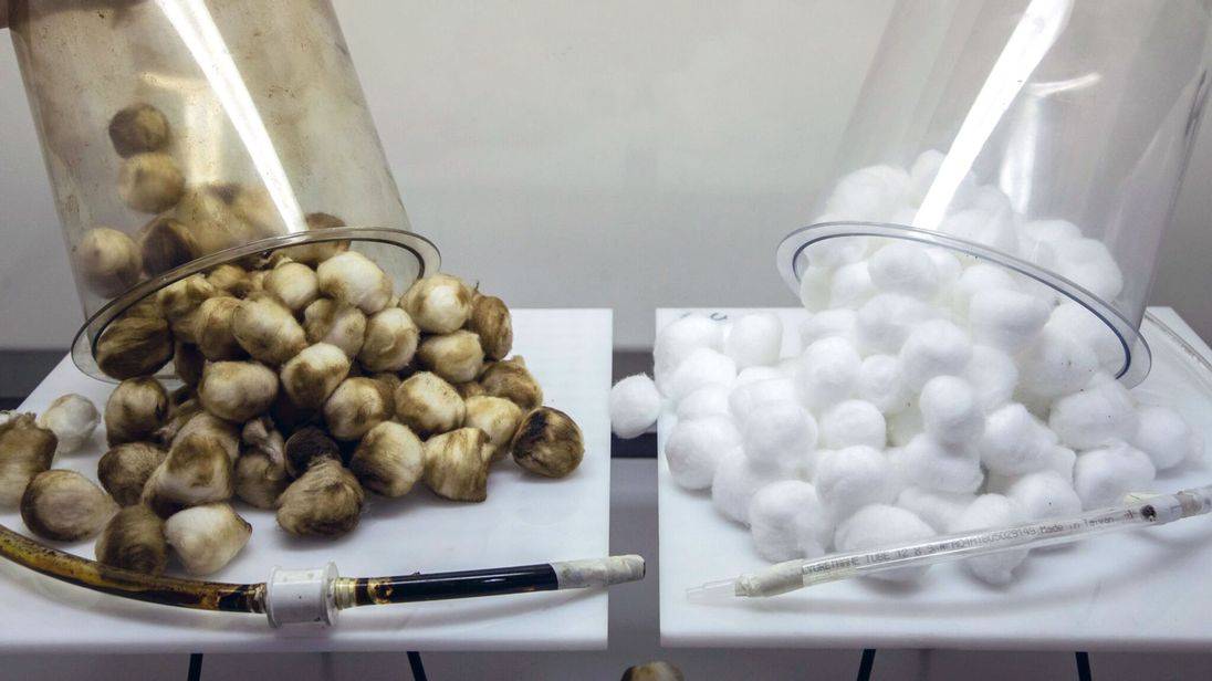 skynews smoking v vaping cotton wool