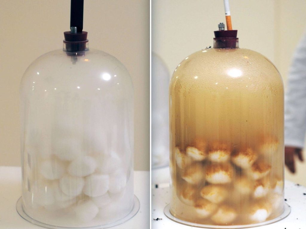 The experiment highlights the devastating harms caused by regular cigarettes